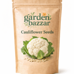 Cauliflower Seeds – High Germination Vegetable Seeds for Home Gardening