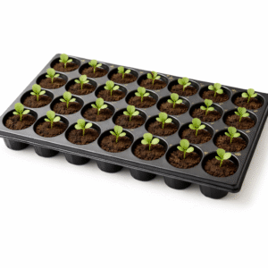 40 Holes Seedling Tray (Pack of 5) | Reusable Nursery Trays for Home & Professional Gardening